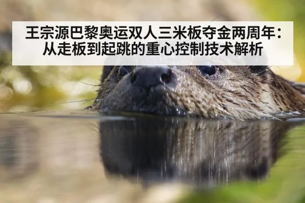 王宗源巴黎奥运双人三米板夺金两周年：从走板到起跳的重心控制技术解析
